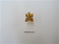 藏品(碎斑黃東燈蛾)的圖片